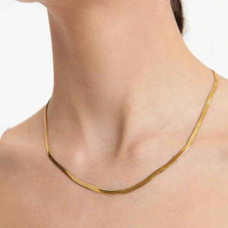 Sphinx 3mm Snake Chain Necklace - Gold